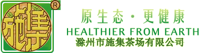 加固博士